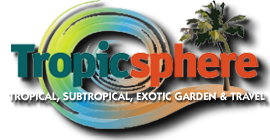Tropicsphere